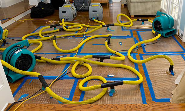 Professional Flood Damage Restoration technician working in Spring, TX
